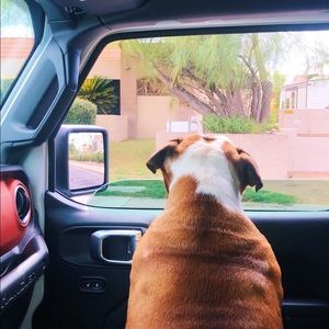 Meet your Posher, Hailey